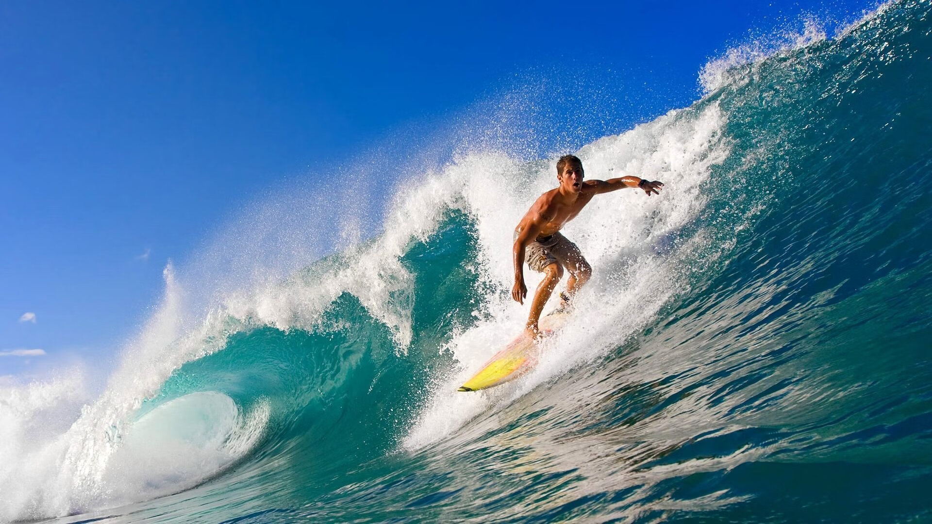 2026体育赛事冠军榜,2020体育赛历